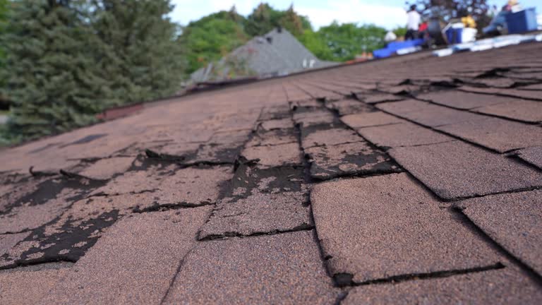 Best 4 Ply Roofing  in Albemarle, NC