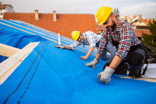 Best Roof Moss and Algae Removal  in Albemarle, NC