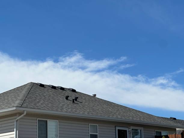 Best Emergency Roof Repair Services  in Albemarle, NC